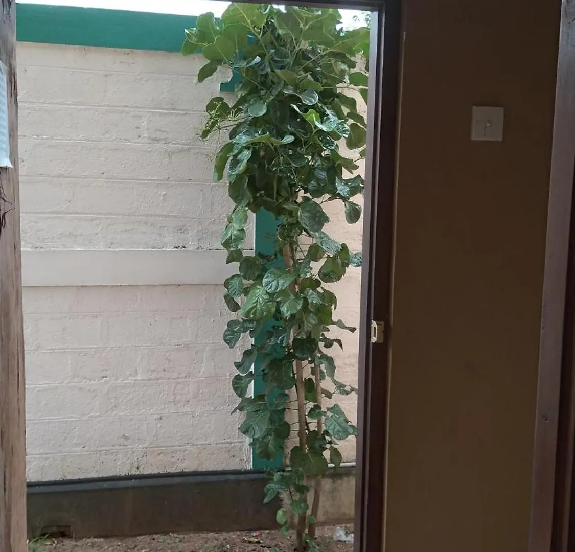 Ch Rooms - Transit Airport Negombo Guest house